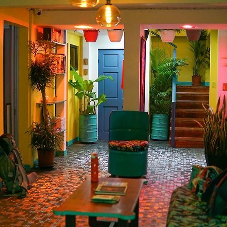 Nativus Art-Hostel San Jose  Exterior photo