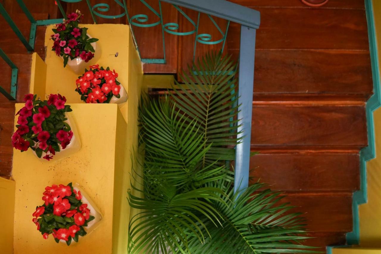 Nativus Art-Hostel San Jose  Exterior photo